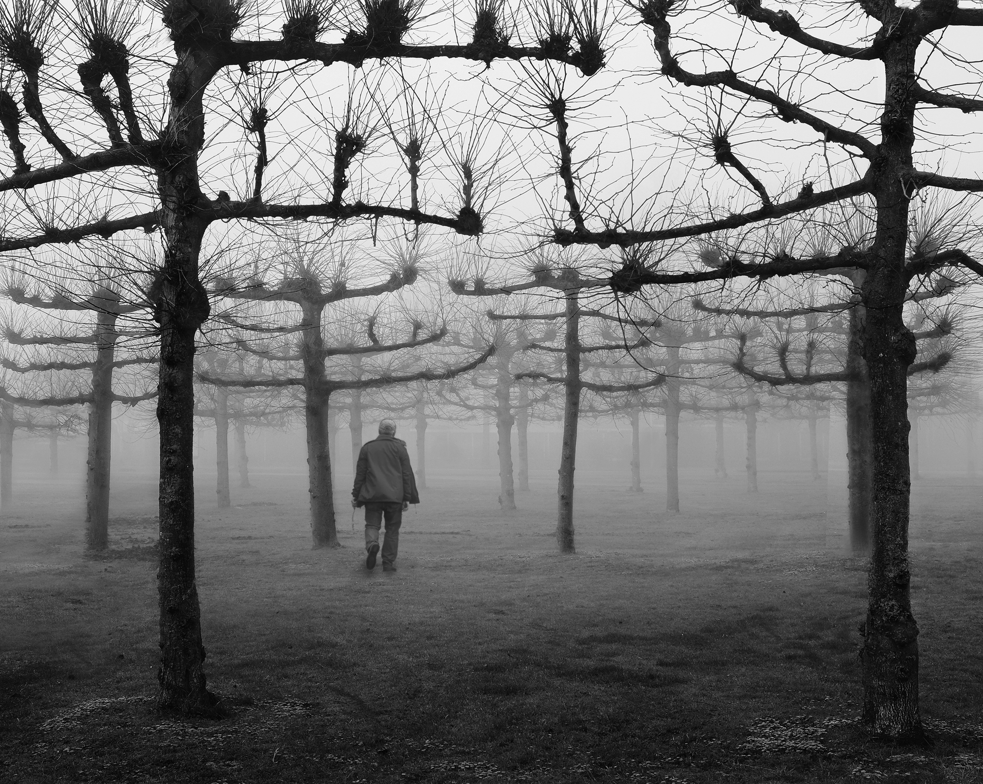 Henk Bomer, Hengelo, Hasseler Es